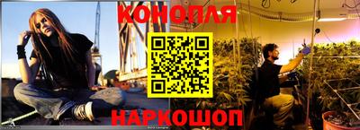 наркотики Новозыбков