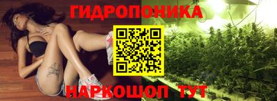 молекула духа Новодвинск