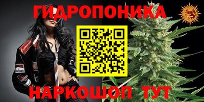 наркотики Новозыбков
