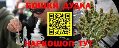 наркотики Новозыбков