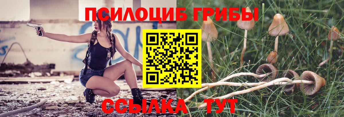 Галлюциногенные грибы мицелий  Псилоцибиновые грибы прущие грибы  Троицк  Вход с VPN 