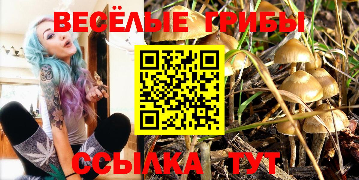 Гашиш Троицк
